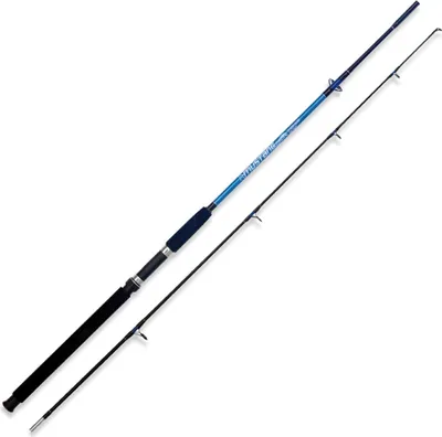 Immagine prodotto di Canna da spinning Lineaeffe Mustang Evolution argento 3,00 m / 100-250 g argento 3,00 m