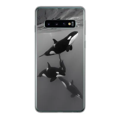 Produktbild von MuchoWow® Handyhülle Schutzhülle Hülle für Samsung Galaxy S10 Orca - Wasser - Schwarz - Weiß Silikon Softcase Handy Hülle - Handytasche