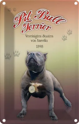 Produktbild von vianmo Blechschild 30x20 cm Hund Pit Bull Terrier Amerika 1898 Tier Haustier