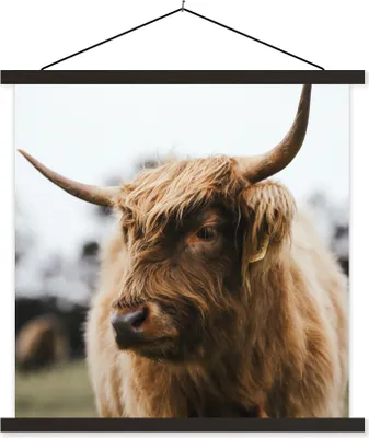 Produktbild von MuchoWow® Textilposter Schottisches Hochlandrind - Tiere - Hörner 40x40 cm mit schwarzem Rahmen - Fotos