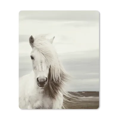 Produktbild von MuchoWow® Mauspad Mousepad Pferd - Strand - Mähne 19x23 cm - Mousepads - Maus Mat - Pad - Mausunterlage - Mauspads - Spielen