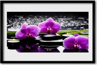 Produktbild von Bild 60x40 MDF-Rahmen Wandkunst Blume Orchidee Pflanze