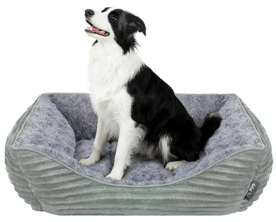 Immagine prodotto di Letto ortopedico per cani, taglia XL
