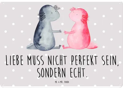 Produktbild von Mr. & Mrs. Panda Schild Axolotl Liebe DIN A4 - Grau Pastell - Geschenk, Türschild, tafel, Lurch, Wandbild, Blechschild, Valentinstag, Paar, Metallbild