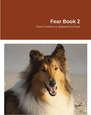 Produktbild von Fear Book 2
