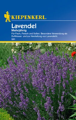 Produktbild von Lavendel Mehrjährig | Lavendelsamen von Kiepenkerl