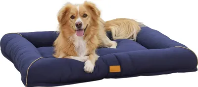 Image de Lit douillet pour chien Kerbl Jerome bleu foncé/cognac L x l x H 110 x 90 x 13 cm, lavable 80455