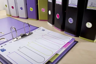 Produktbild von Register myColour A4 PP 300 my 6 Blatt sortierte Packung Packung mit 20 Stück