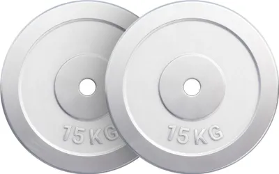 Produktbild von GORILLA SPORTS® Hantelscheiben - 30 kg Set, 2 x 15 kg Gewichte, 30/31mm Bohrung, aus Chrom - Gewichtsscheiben
