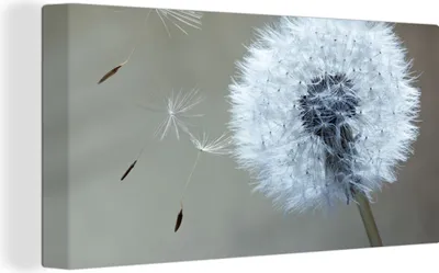 Produktbild von MuchoWow® - Leinwandbilder - Löwenzahn - Blume - Pflanze, Wandbild, Wanddeko Bilder Wohnzimmer, 40x20 cm