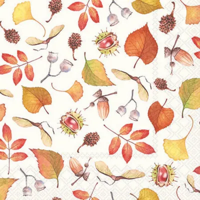 Produktbild von Ambiente Servietten Herbstdetails 25 cm