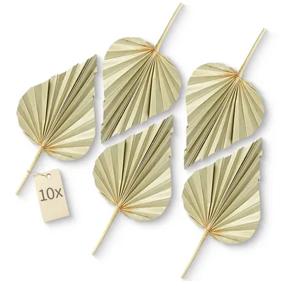 Produktbild von Palmen Blatt Boho Deko getrocknet 10er Set Palmblatt 11 - 13 cm