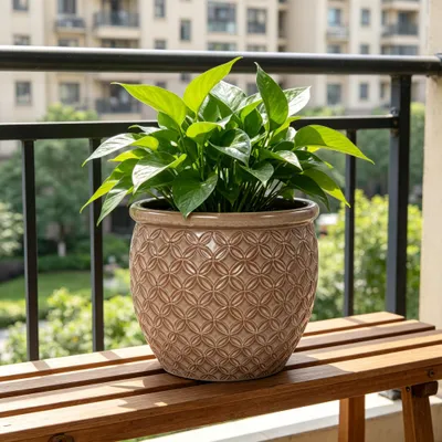 Produktbild von Einzelner Handgefertigter Keramik Pflanztopf (Ø 30,5 cm), Glänzend Beige mit Münzrelief, atmungsaktiv, frostsicher, mit Ablauflöchern für Zimmer- und Gartenpflanzen