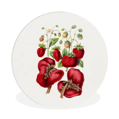 Produktbild von MuchoWow® Rundes Wandbild - Runde Bilder Erdbeeren - Obst - Lebensmittel Ø 90 cm Kreis Wanddekoration Kunststoff - Wandkreis - Wandschmuck - Wand-Kreis - Wohnzimmer - Bild - Runde - Wanddeko - Dibond - Kunstdrucke