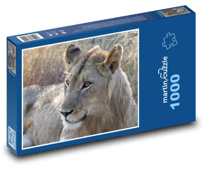 Obrázok produktu pre Puzzle 1000 Levice v divočine - martinpuzzle