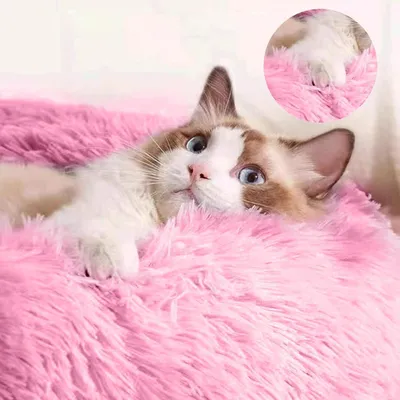 Imagen del producto de Cojín suave y cómodo para perros y gatos, ideal para interiores