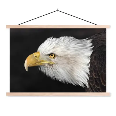 Produktbild von MuchoWow® Textilposter Adler - Vogel - Schnabel - Augen 120x80 cm mit holzfarbenen Rahmen - Aufhängeset