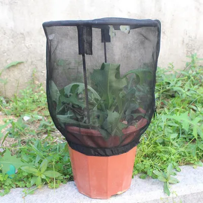 Productafbeelding van Ventilatiekast voor insecten, lichtdoorlatend, voerbak, net, afdekking, gaas, kweekbak, plantenbescherming, zonwering
