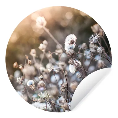 Produktbild von MuchoWow® Runde Wandtattoo - Wandsticker Tapete Aufkleber Blumen - Sonne - Sepia Ø 100 cm Selbstklebend und Repositionierbar - Wandaufkleber - Kreis - Tapetenkreis - Wandbild rund - Schlafzimmerdekoration - Wanddeko - runde Tapete - Kunst für zu Hause