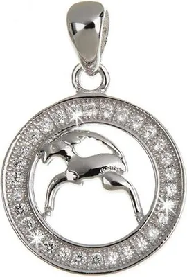 Produktbild von SILBERKETTEN STORE Anhänger Sternzeichen - 925 Silber - Steinbock
