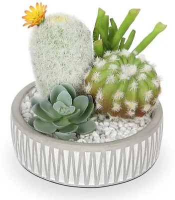 Immagine prodotto di Mini cactus artificiale in vaso, mini piante grasse decorative artificiali in vaso per interni, decorazioni per il bagno e il soggiorno, decorazioni fai da te.