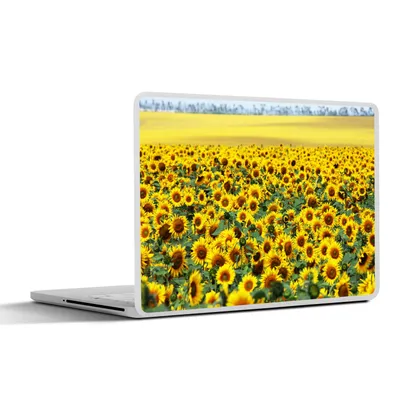 Produktbild von MuchoWow® Laptop Aufkleber Sticker Cover Sonnenblume - Blumen - Natur 30x22 cm - Laptop-Sticker