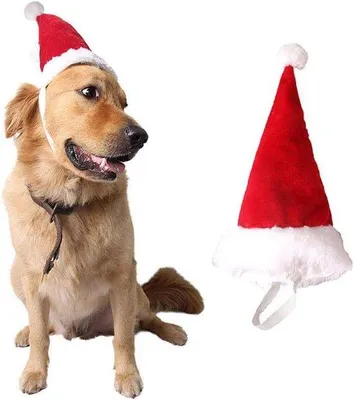 Produktbild von Kerstkostuum für mittelgroße und große Hunde, Hunde-Kerstkostüms, rote Hunde-Kerstkappe