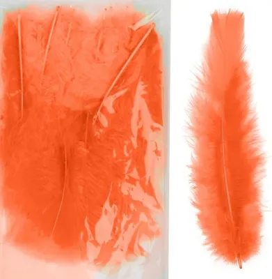 Produktbild von Dekorative orangefarbene Naturfedern, 5-12 cm, 5 g, 10 Stück
