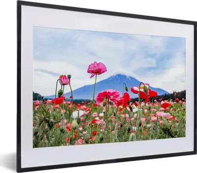 Produktbild von MuchoWow® MuchoWow® Gerahmtes Poster Rosa Mohnblumen für einen Berg 40x30 cm - Poster mit zchwarzem Bilderrahmen - Bilderrahmen - Poster im Rahmen