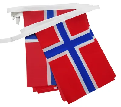 Norwegen Wimpelkette 4 m, 20 Flaggen, Polyester, 15x10 cm
