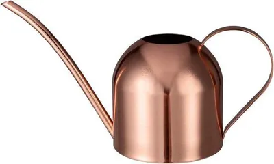 Immagine prodotto di Annaffiatoio in acciaio inossidabile Unyqoos® da 1 litro – beccuccio lungo a forma di collo di cigno, per un'irrigazione precisa di piante da interno, succulente e bonsai, colore rosa, dimensioni 11,5x11,5 cm, bocchetta da 17 cm