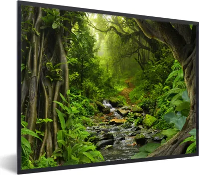 Produktbild von MuchoWow® Gerahmtes Poster Natur - Wasser - Dschungel - Wald - Tropisch 80x60 cm - Poster mit Schwarzem Bilderrahmen Wandposter Rahmen Foto Bilder - Schwarzem - Mit Gestell