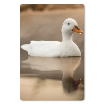 Produktbild von MuchoWow® Mauspad Mousepad Ente - Vogel - Wasser - Weiß 18x27 cm - Mousepads - Maus Mat - Pad - Mausunterlage