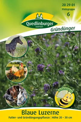 Produktbild von Luzerne (50 g) | Gründünger von Quedlinburger
