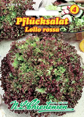 Produktbild von Pflücksalat Lollo Rossa | Pflücksalatsamen von N.L. Chrestensen