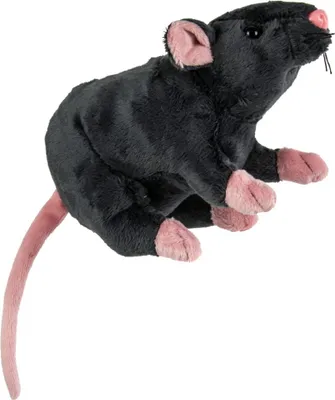 Produktbild von Graue Plüsch Ratte 19cm als Kuscheltier, Deko oder Kostümzubehör