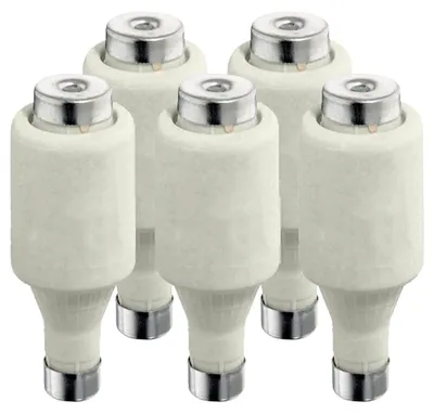 Produktbild von DII-Schraubsicherung 6A 500V - gG träge - 1×5 Stück