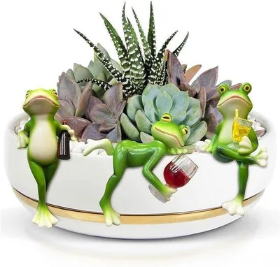 Image de Accessoire pour mini-bain d'oiseaux pour étang et jardin - Petite décoration d'étang - Poignée de suspension pour mini-bain d'oiseaux