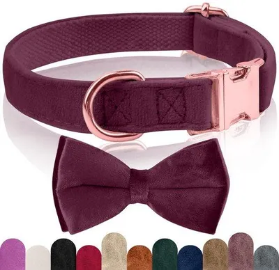 Produktbild von Hundehalsband aus Samt mit abnehmbarer Fliege - verstellbar und komfortabel für Hunde aller Größen