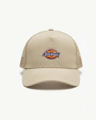 Image de Dickies Dk0a4yv3l441 Couleur Beige