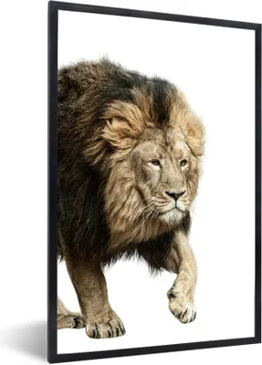 Produktbild von MuchoWow® MuchoWow® Gerahmtes Poster Profil - Löwe - Weiß 20x30 cm - Poster mit zchwarzem Bilderrahmen - Drucken - Bilder Poster im Rahmen