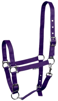 Produktbild von Harrys Horse Halfter Basic 3 x verstellbar violett, Größe:Cob