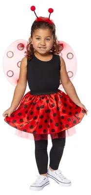 Immagine prodotto di Set di travestimento da coccinella per bambine