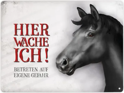 Produktbild von Betreten auf eigene Gefahr - Hier wache ich! Metallschild XXL mit Schwarzes