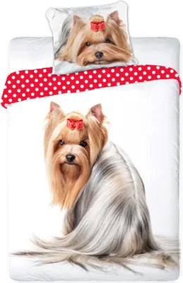 Produktbild von Bettwäsche 160x200 Baumwolle Yorkie Hund