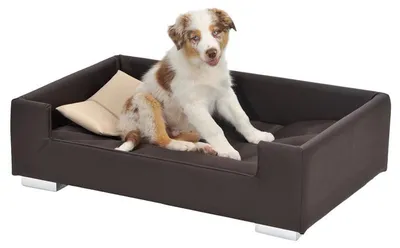 Produktbild von Hundesofa Candy, ca. 57 x 91 x 25 cm Hundebett Hund Tierbett Schlafplatz