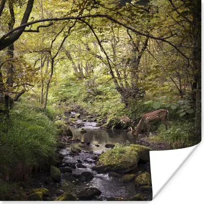 Produktbild von MuchoWow® Poster Hirsch - Baum - Wald 30x30 cm - Wandposter - Printing