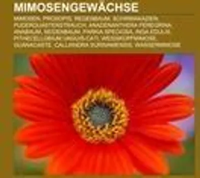 Produktbild von Mimosengewächse