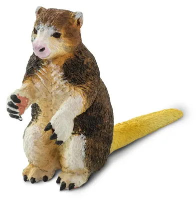 Produktbild von Safari Ltd Matschies Baumkänguru-figur Braun From 3 Years Kinder Braun From 3 Years