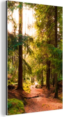 Produktbild von MuchoWow Wanddekoration Metall Metallbild Wandkunst 100x150 cm Wald - Weg - Bäume - Grün - Sonne - Natur MuchoWow Aluminium Gemälde - Bild